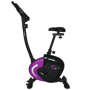 Magnetic exercise bike HMS M 9239V black-purple