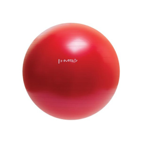 GYMNASTIC BALL 65CM HMS