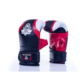 Bag gloves DBX BUSHIDO DBX-B-131b