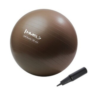 Gymnastics ball HMS YB02N 65 cm bronze